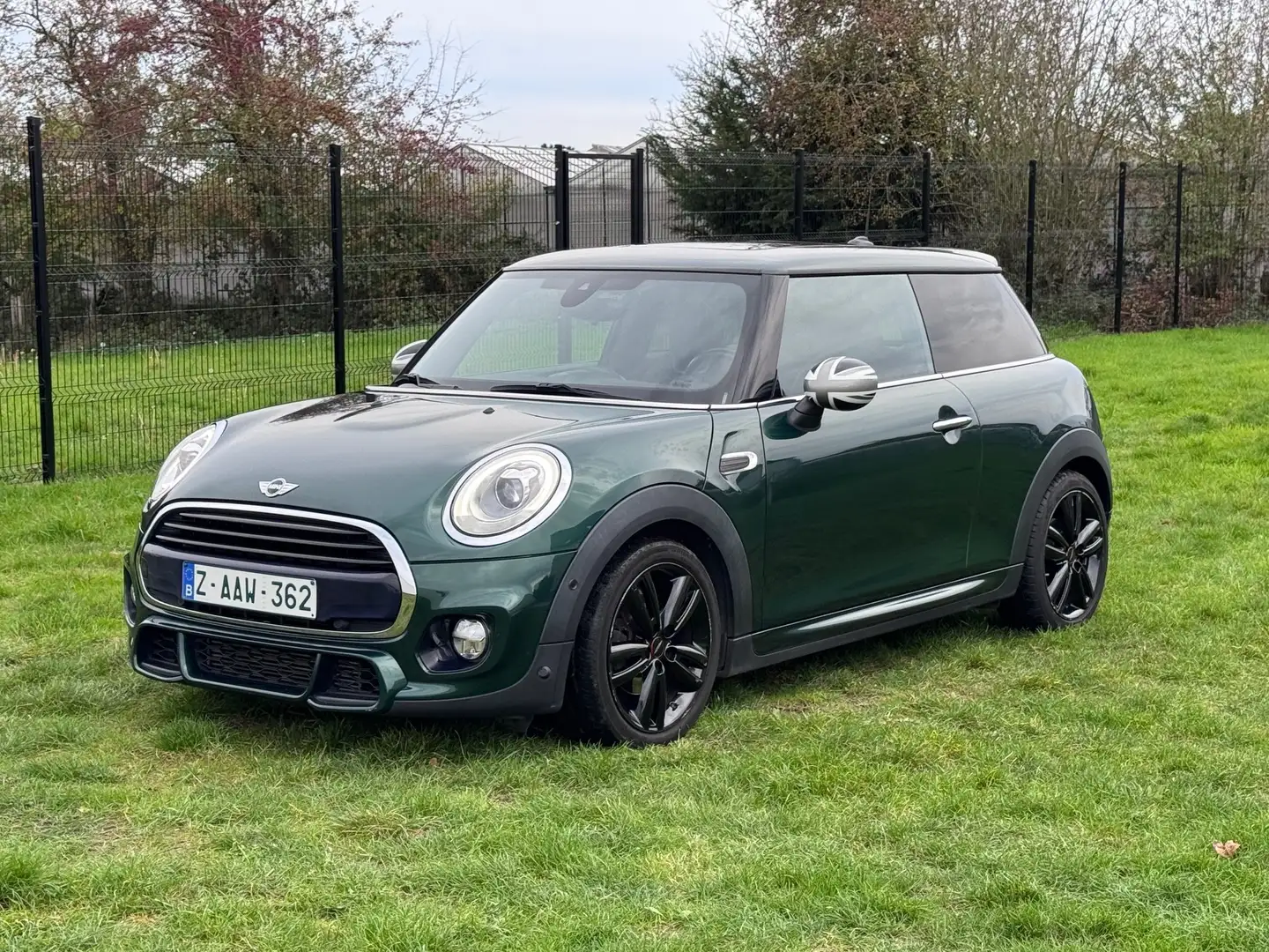 MINI Cooper Mini 1.5A John Cooper Works - Pano - Full Groen - 1