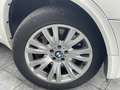 BMW X5 50iA xDrive M-Paket, 7-Sitzer, Standh., HUD Weiß - thumbnail 28