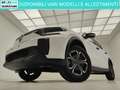 Citroen C3 Aircross C3 Aircross PureTech Turbo 100 You --- SUPER PROMO Bianco - thumbnail 3