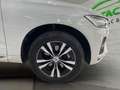 Volvo XC60 T6 Twin Recharge Inscription Blanc - thumbnail 10