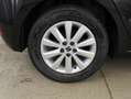 SEAT Ibiza Reference 1.0 Nero - thumbnail 4