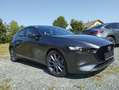 Mazda 3 Mazda3 3 SKYACTIV-G 2.0 Comfort+18"4xWR+Alu Grau - thumbnail 2
