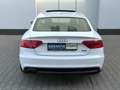 Audi A5 Sportback 3.0 TDI QUATTRO S LINE*AHK*B&O*KAME Blanc - thumbnail 16