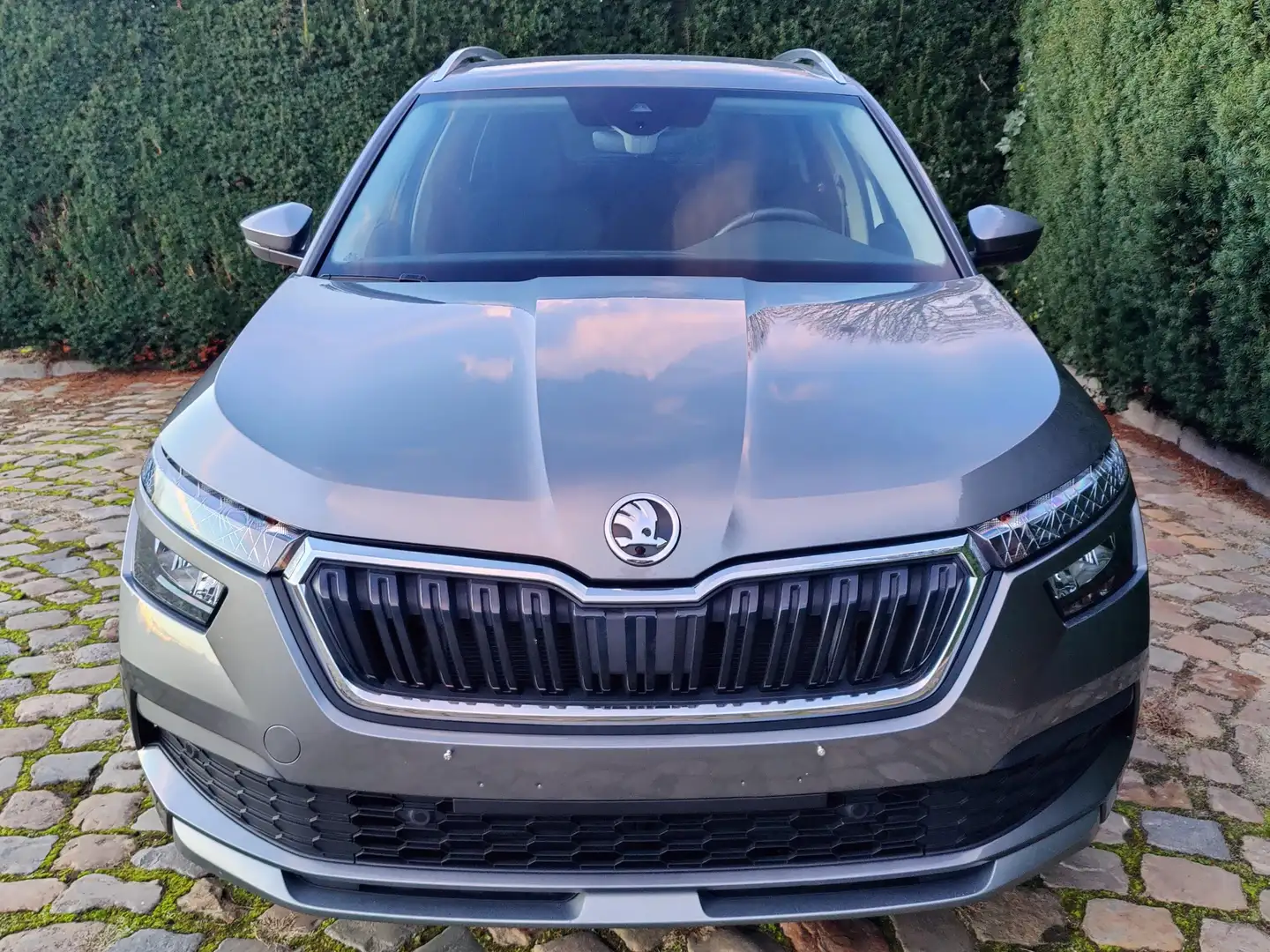 Skoda Kamiq Kamiq 1.0 TSI DSG Clever Gris - 2