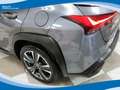 Lexus UX 250h 2.0 150cv 2WD Executive CVT EU6D-Temp Grigio - thumbnail 15