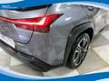 Lexus UX 250h 2.0 150cv 2WD Executive CVT EU6D-Temp Grigio - thumbnail 14
