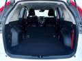Honda CR-V 1,6i-DTEC Lifestyle 4WD "AHK" Blanco - thumbnail 22