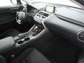 Lexus NX 300h Business Line - 26.000 km - Navigatie - Camera - 1 Gris - thumbnail 25