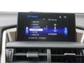 Lexus NX 300h Business Line - 26.000 km - Navigatie - Camera - 1 Gris - thumbnail 38