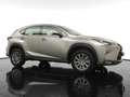 Lexus NX 300h Business Line - 26.000 km - Navigatie - Camera - 1 Gris - thumbnail 12