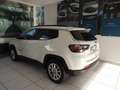 Jeep Compass 1.6 Multijet II 2WD Limited Bianco - thumbnail 4
