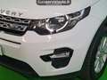 Land Rover Discovery Sport 2.0 td4 Pure awd 150cv Bianco - thumbnail 15