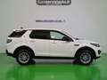 Land Rover Discovery Sport 2.0 td4 Pure awd 150cv Bianco - thumbnail 2