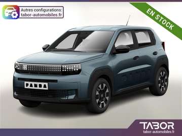 Grande Hybrid 110 Icon CarP PDC DigC