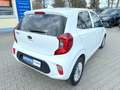 Kia Picanto Dream Team*Navi*Carplay*Kamera*TOP! Weiß - thumbnail 15