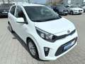 Kia Picanto Dream Team*Navi*Carplay*Kamera*TOP! Weiß - thumbnail 7
