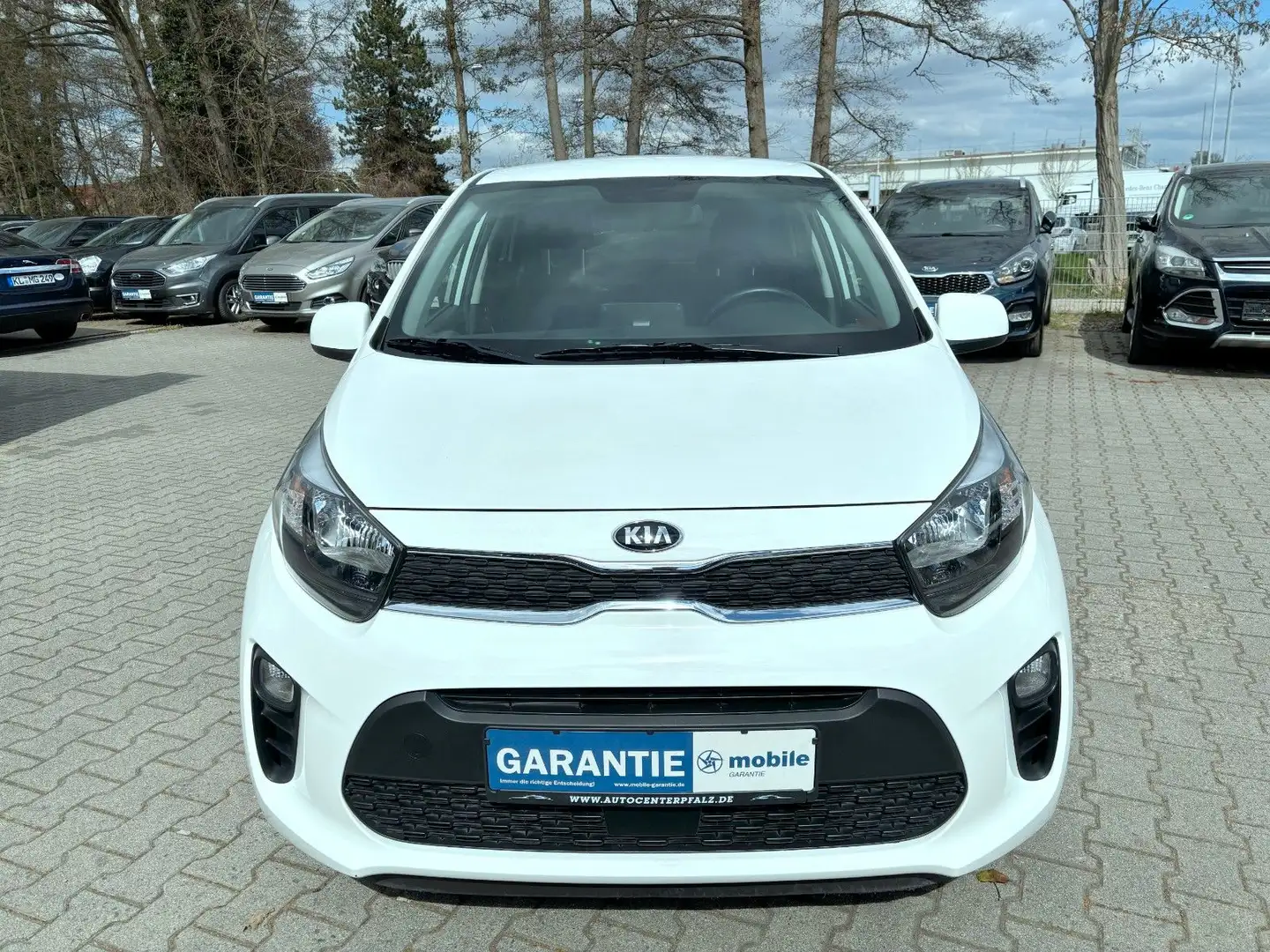 Kia Picanto Dream Team*Navi*Carplay*Kamera*TOP! Weiß - 2