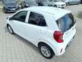 Kia Picanto Dream Team*Navi*Carplay*Kamera*TOP! Weiß - thumbnail 11