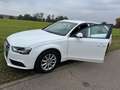 Audi A4 A4 Avant Avant 1.8 TFSI Attraction Weiß - thumbnail 4