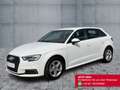 Audi A3 40 e-tron  S-TR LED+NAVI+2xPDC+GRA Bianco - thumbnail 2