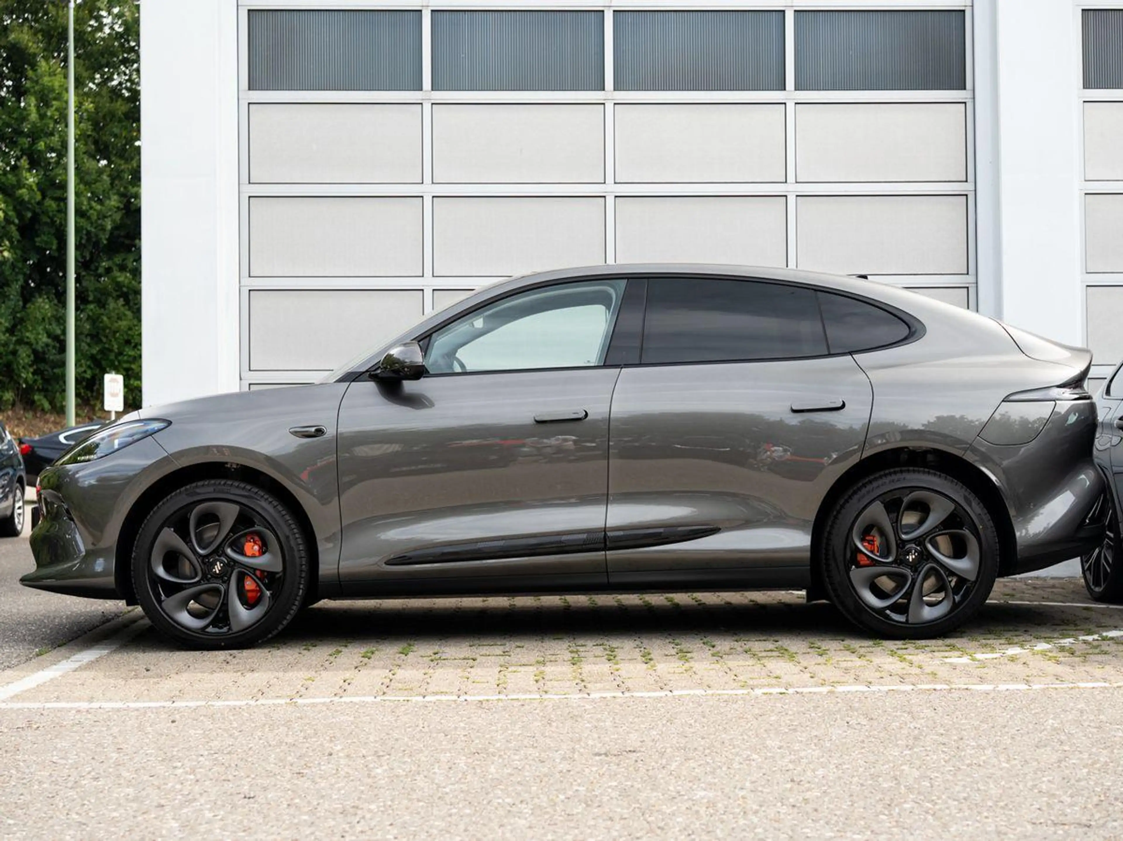MG 100 kWh Performance AWD 7 Jahre Garantie — photo 6