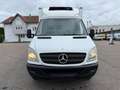 Mercedes-Benz Sprinter 416/516*Doppelkühl*Xarios 350*Klima* Weiß - thumbnail 9