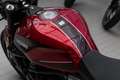 Moto Morini Seiemmezzo STR, sofort lieferbar, Lieferservice Rot - thumbnail 16