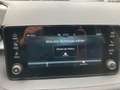 Skoda Fabia Selection TSI Grau - thumbnail 10