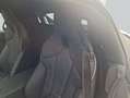 BMW Z4 M Aut. 250 kW, 2-türig Gris - thumbnail 13