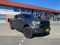 Ford F 150 F 150 undefined Szürke - thumbnail 4