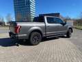 Ford F 150 F 150 undefined Szürke - thumbnail 10