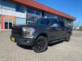 Ford F 150 F 150 undefined Szürke - thumbnail 6