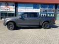 Ford F 150 F 150 undefined Szürke - thumbnail 1