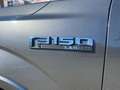 Ford F 150 F 150 undefined Szürke - thumbnail 9