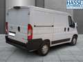 Opel Movano L1H1 Edition Klimaauto+RFK+PDC Cargo 140 3,5t 1... Weiß - thumbnail 3