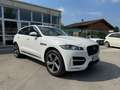 Jaguar F-Pace 2.0 D 180 CV AWD R-Sport Bianco - thumbnail 3