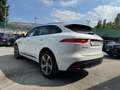 Jaguar F-Pace 2.0 D 180 CV AWD R-Sport Bianco - thumbnail 7