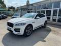 Jaguar F-Pace 2.0 D 180 CV AWD R-Sport Bianco - thumbnail 1