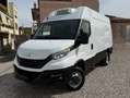 Iveco Daily Iveco Daily 35C18 3.0 180CV Frigo Thermo King Blanco - thumbnail 1