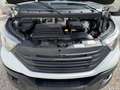 Iveco Daily Iveco Daily 35C18 3.0 180CV Frigo Thermo King Blanco - thumbnail 6