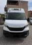 Iveco Daily Iveco Daily 35C18 3.0 180CV Frigo Thermo King Blanco - thumbnail 2