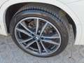 BMW X2 sDrive20d Aut M Sportpaket 19" Navi Leder LED Weiß - thumbnail 17