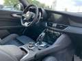 Alfa Romeo Giulia Giulia 2.9 V6 Bi-Turbo AT8 Quadrifoglio Rot - thumbnail 19