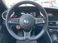 Alfa Romeo Giulia Giulia 2.9 V6 Bi-Turbo AT8 Quadrifoglio Rot - thumbnail 14