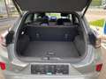 Ford Puma OCCASIE FESTIVAL BENZINE Grijs - thumbnail 9