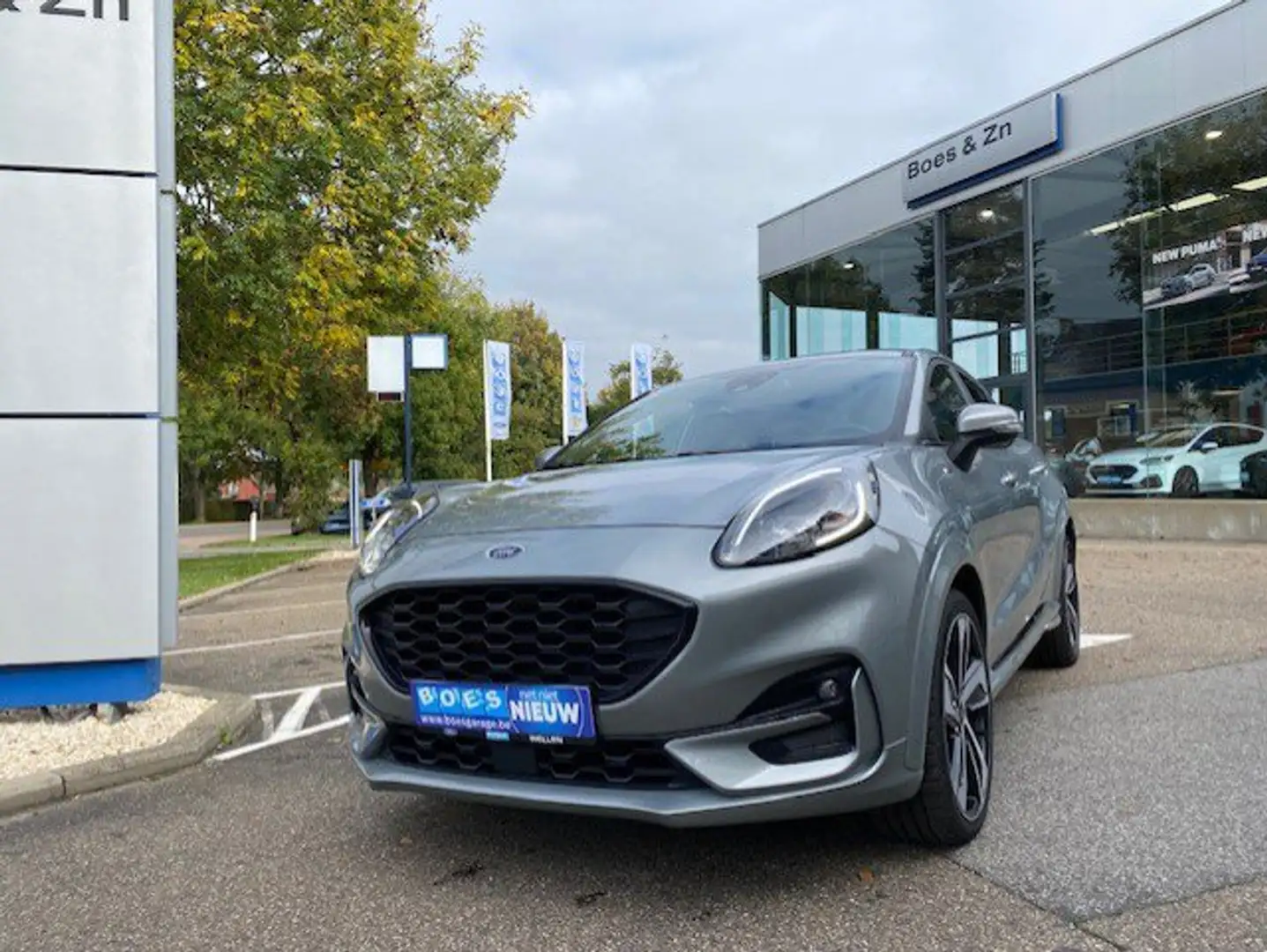 Ford Puma OCCASIE FESTIVAL BENZINE Grijs - 1