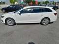 Skoda Octavia Wagon 2.0 tdi evo Style 150cv dsg Bianco - thumbnail 4