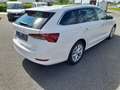 Skoda Octavia Wagon 2.0 tdi evo Style 150cv dsg Bianco - thumbnail 5