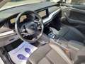 Skoda Octavia Wagon 2.0 tdi evo Style 150cv dsg Bianco - thumbnail 8