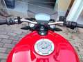 Ducati Monster 821 abs Rosso - thumbnail 5